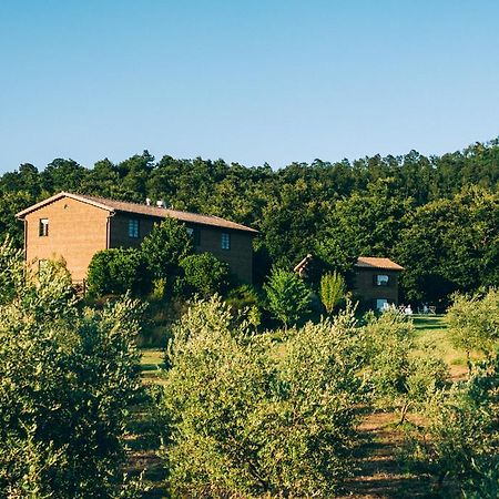 Podere San Francesco Bolsena Kültér fotó
