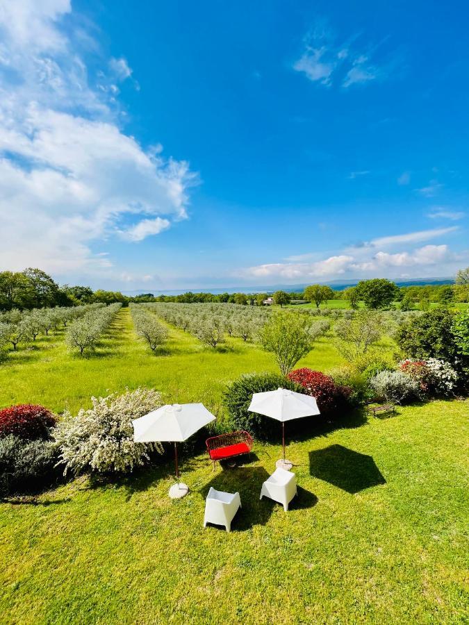 Podere San Francesco Bolsena Kültér fotó