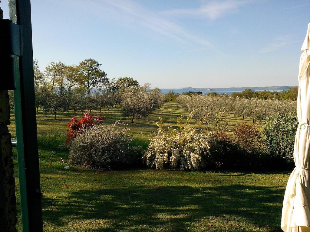 Podere San Francesco Bolsena Kültér fotó