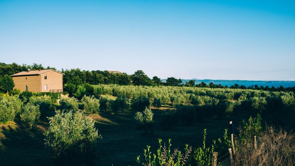 Podere San Francesco Bolsena Kültér fotó