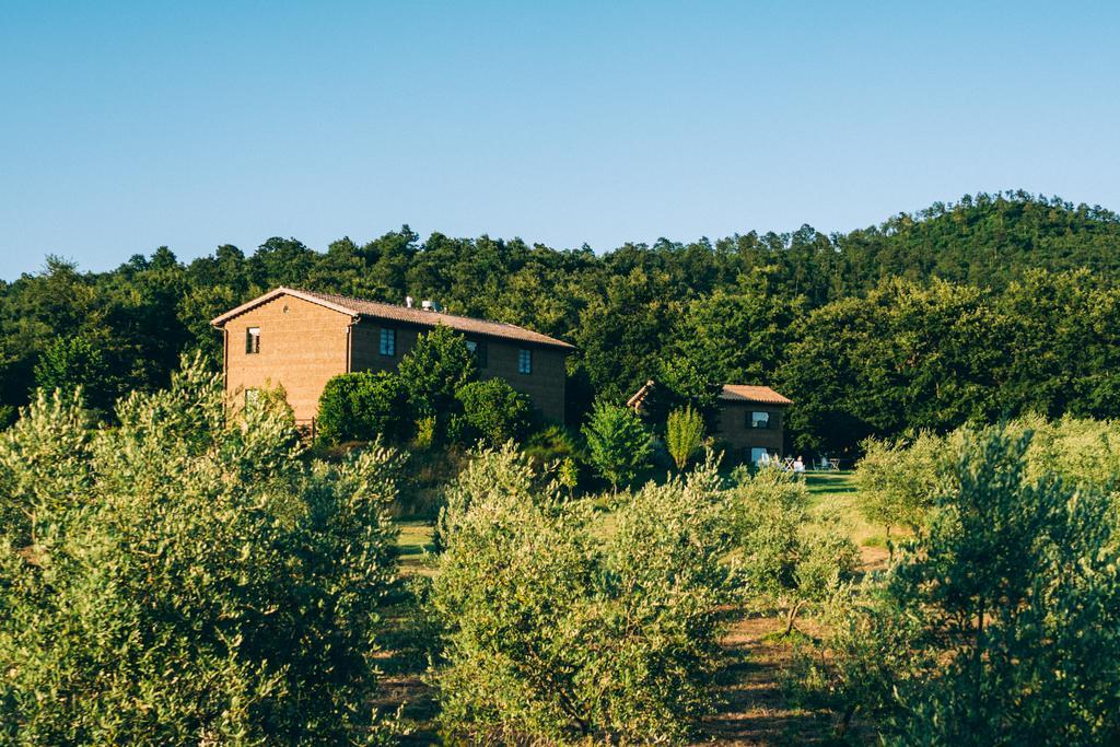Podere San Francesco Bolsena Kültér fotó