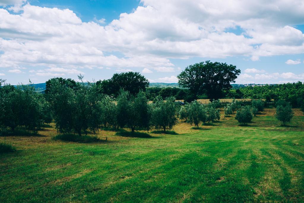 Podere San Francesco Bolsena Kültér fotó